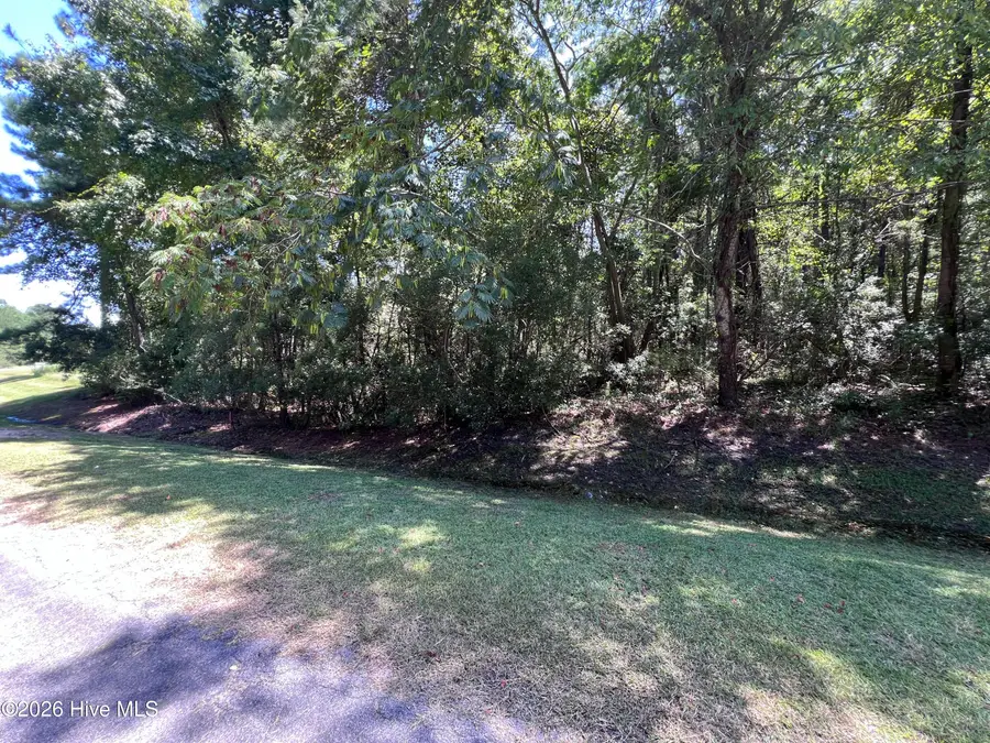 Lot#43,43a Windy Point, Belhaven, NC 27810 - #3