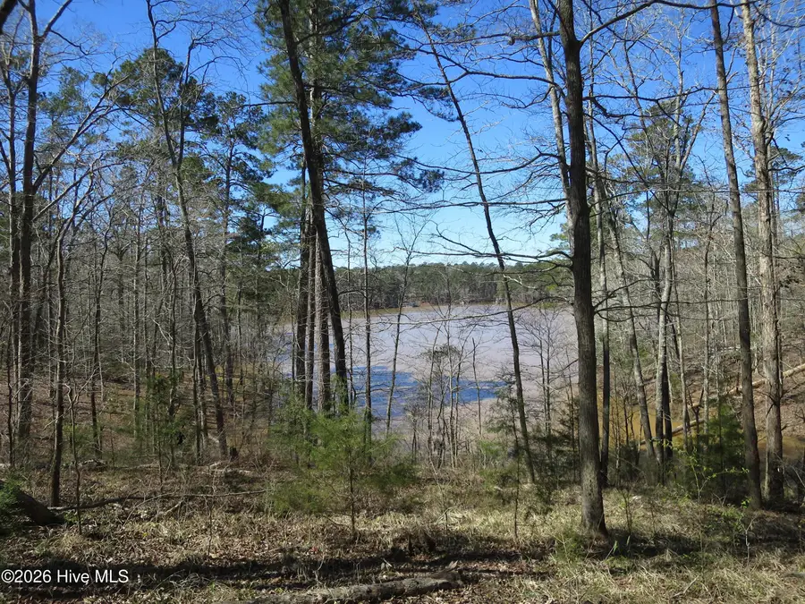 205 Rolland Place, McCormick, SC 29835 - #2