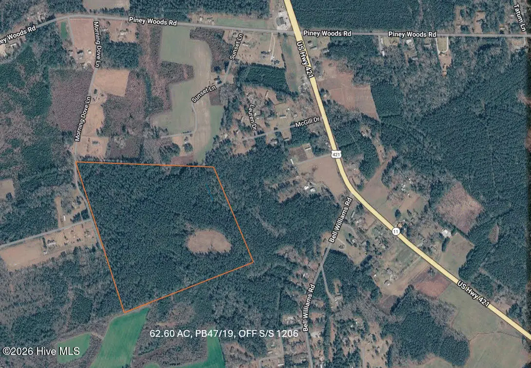 62.60 Morning Dove Ln, Watha, NC 28478 - #1