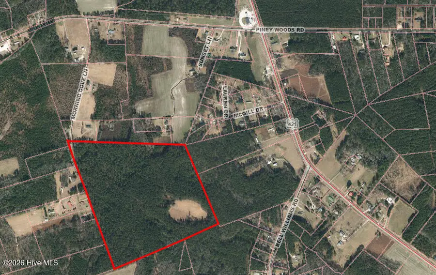 62.60 Morning Dove Ln, Watha, NC 28478 - #2