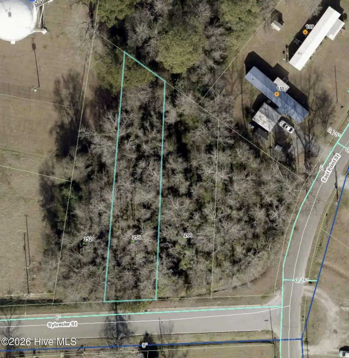 256 Sylvester Street, Richlands, NC 28574 - #1