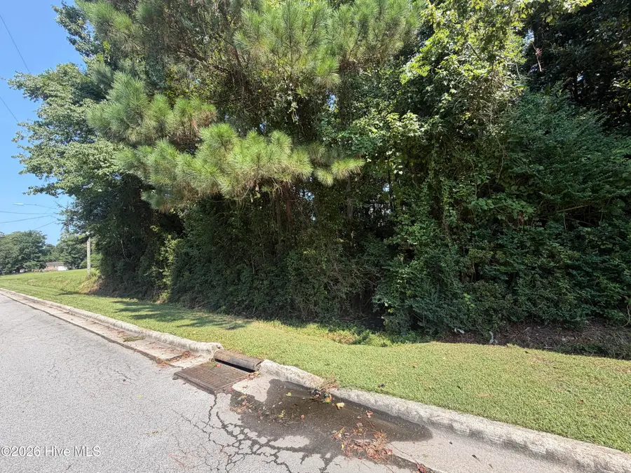 256 Sylvester Street, Richlands, NC 28574 - #3