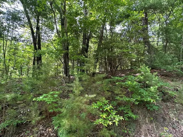 Lot 31 Peak Trail, Murphy, NC 28906