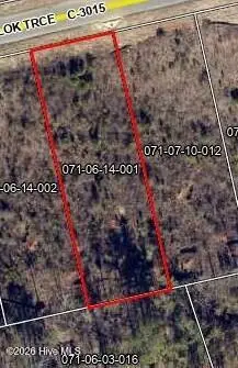 Lot 111 Scentlok Trace, Warrenville, SC 29851