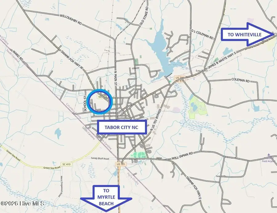 18.28ac Watering Street, Tabor City, NC 28463 - #2