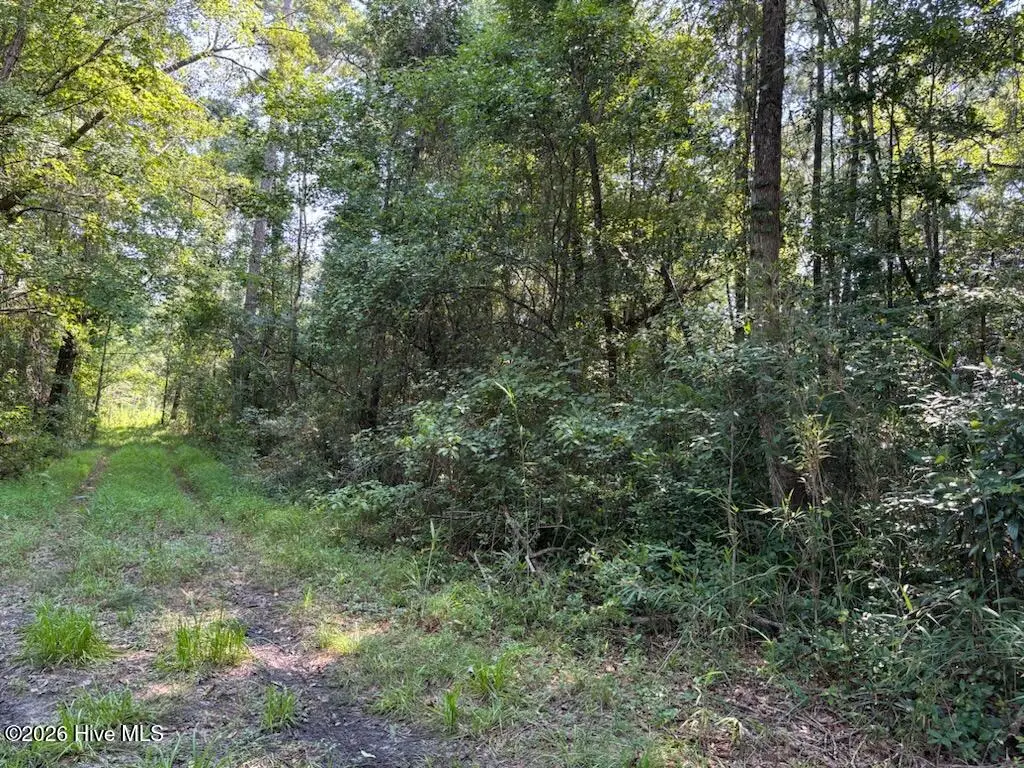 Lot 6 E Wilmington Street, Burgaw, NC 28425 - #1