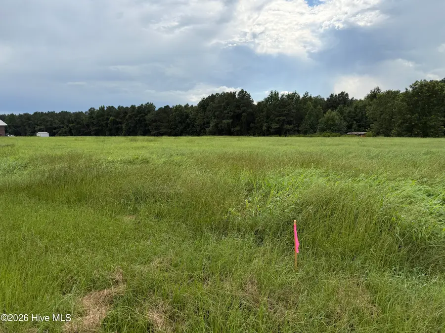 0 Mills Road, Goldsboro, NC 27530 - #2