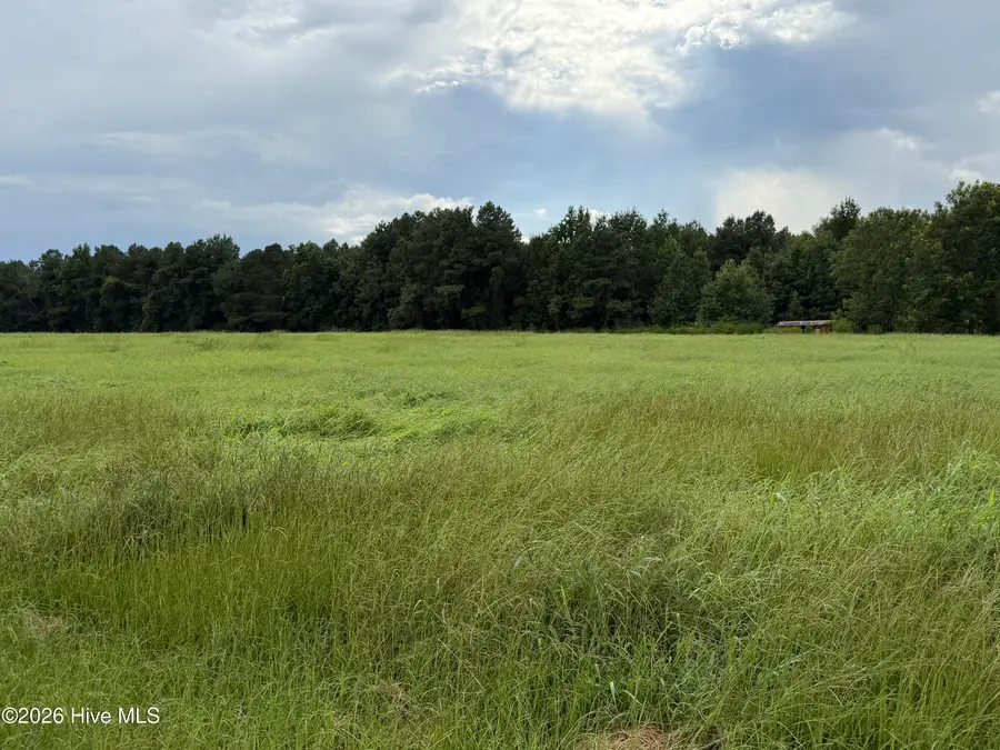 0 Mills Road, Goldsboro, NC 27530 - #3