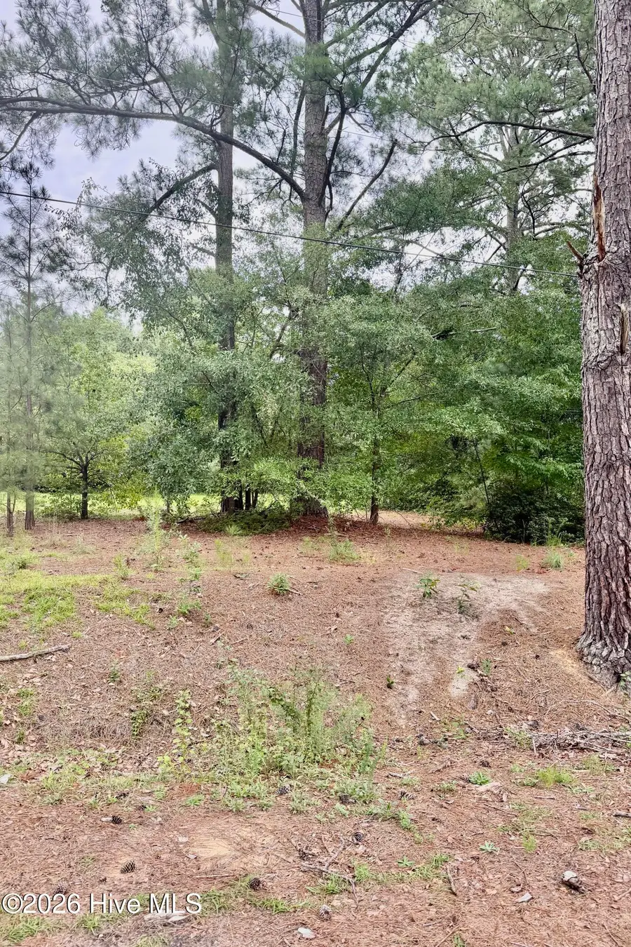 0 Rainwater Lane, Rockingham, NC 28379 - #2