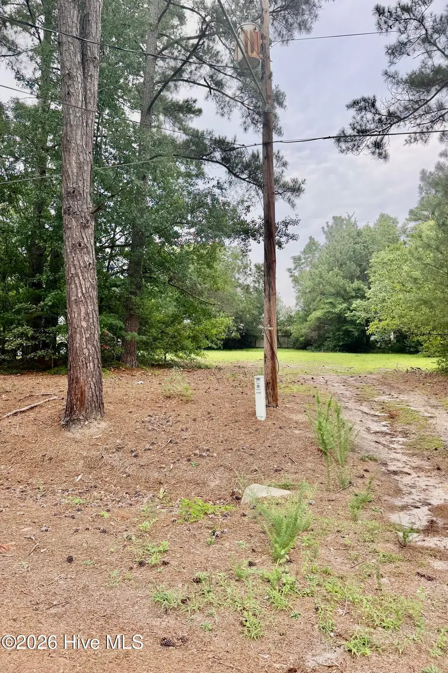 0 Rainwater Lane, Rockingham, NC 28379 - #3