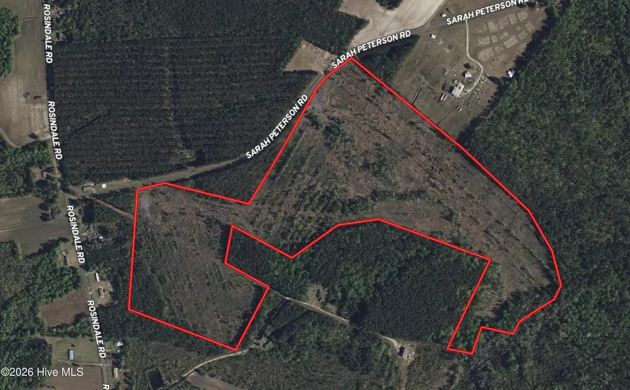 Tbd Sarah Peterson Road, Council, NC 28434 - #2