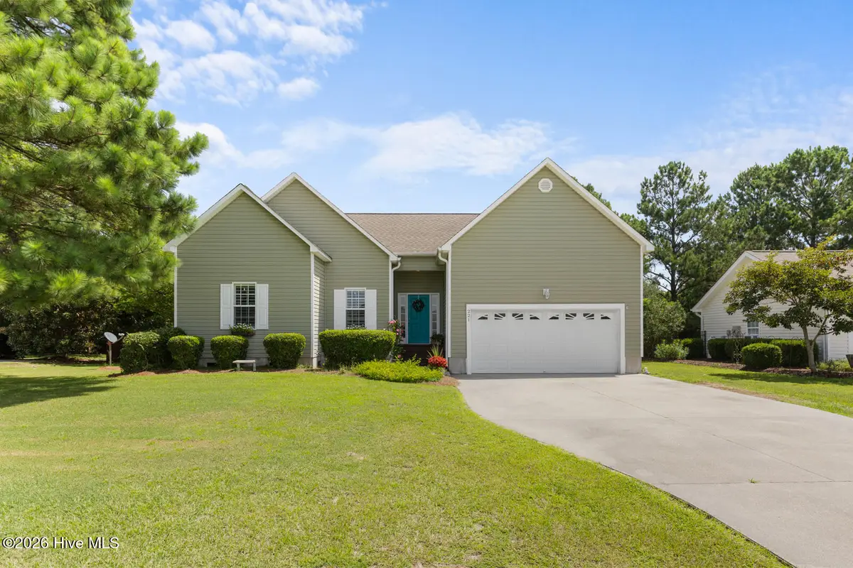 221 Palomino Lane, Swansboro, NC 28584 - #1