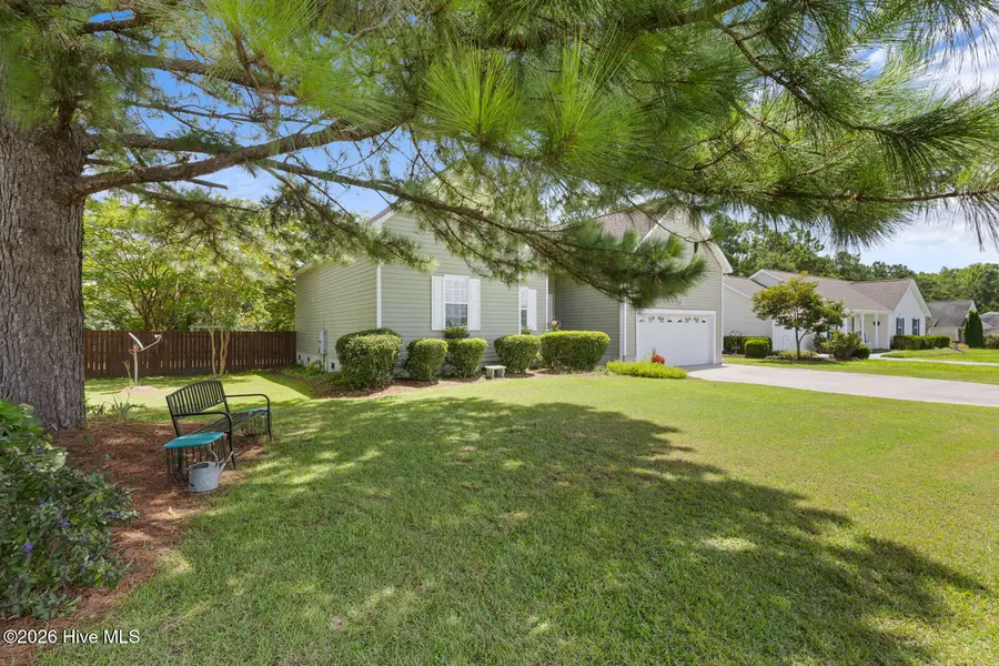 221 Palomino Lane, Swansboro, NC 28584 - #2