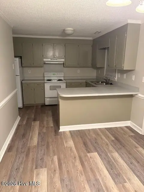 1117 Grovemont Drive #I-4, Greenville, NC 27834 - #3