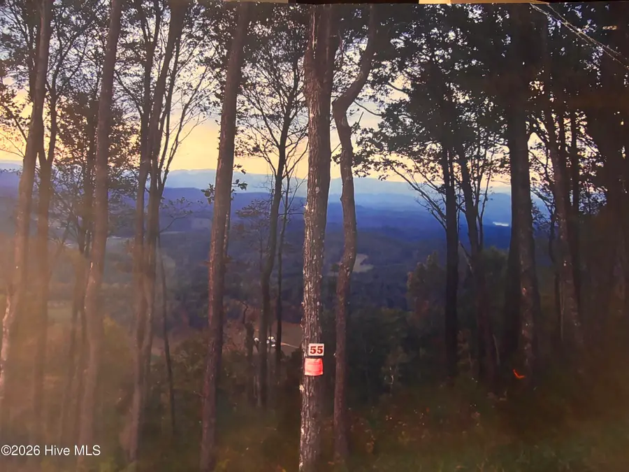 55 Buck Ridge Drive, Murphy, NC 28906 - #2