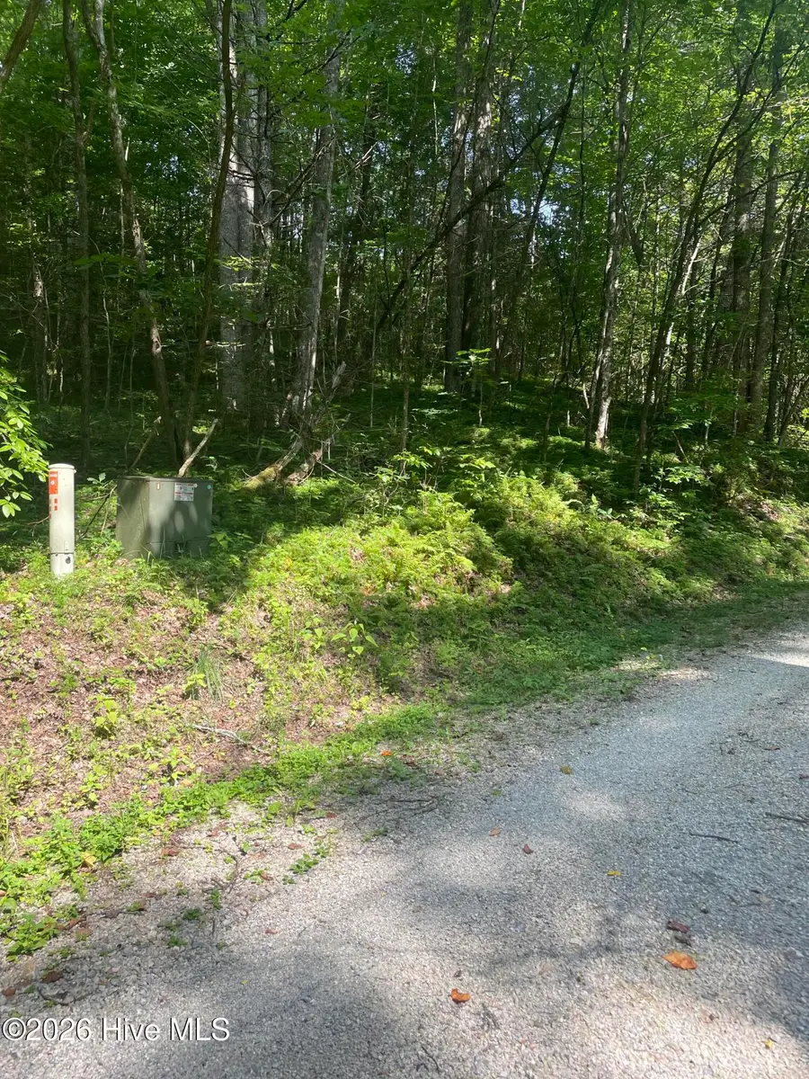 6 Hidden Lakes Road, Topton, NC 28781 - #2
