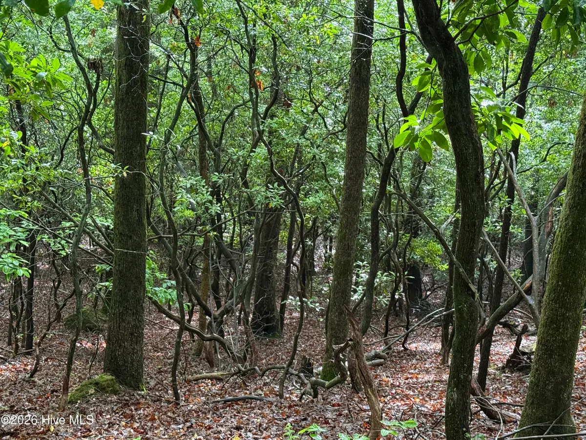 Lot 28 Atoah Loop, Murphy, NC 28906 - #1