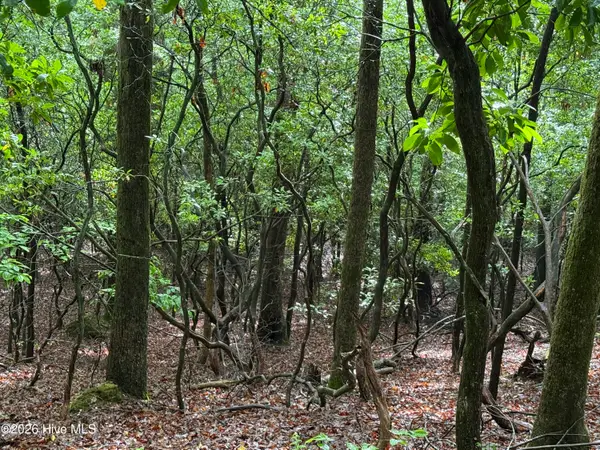 Lot 28 Atoah Loop, Murphy, NC 28906