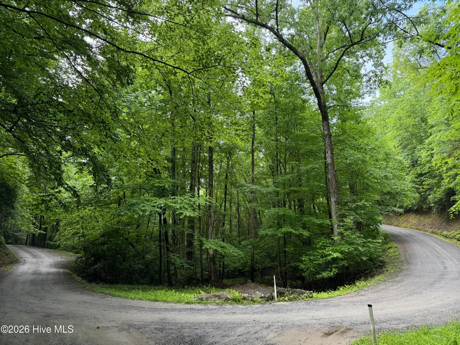 Lot 28 Atoah Loop, Murphy, NC 28906 - #2