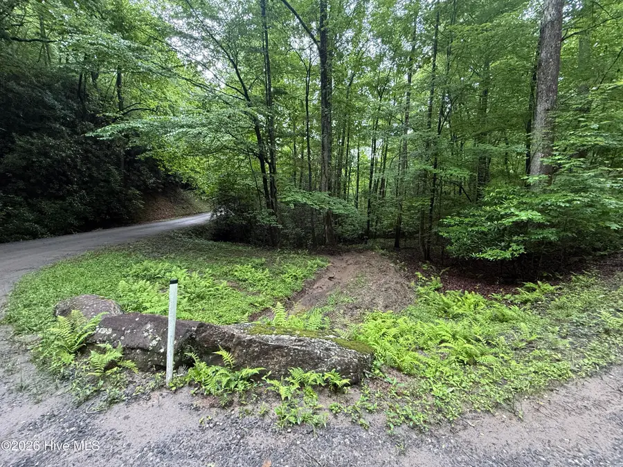 Lot 28 Atoah Loop, Murphy, NC 28906 - #3