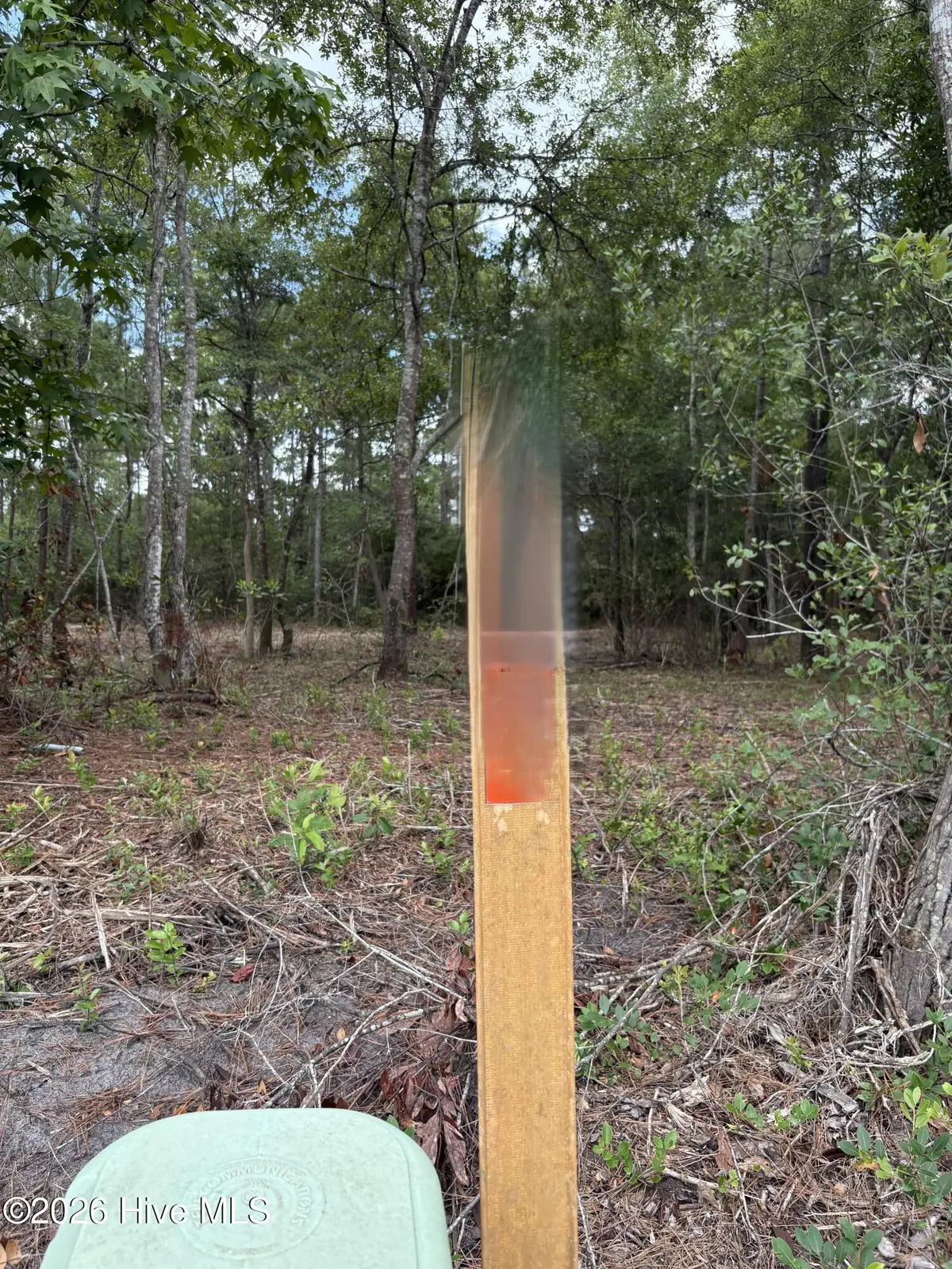 2933 James Street Sw, Supply, NC 28462 - #1