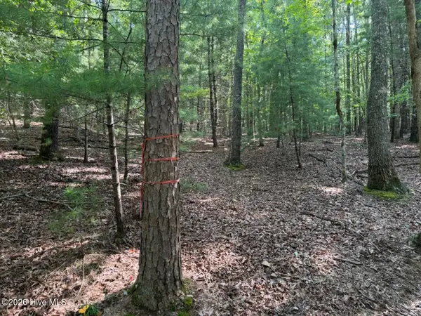 919 Panther Top Road, Murphy, NC 28906