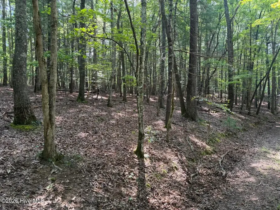 919 Panther Top Road, Murphy, NC 28906 - #2