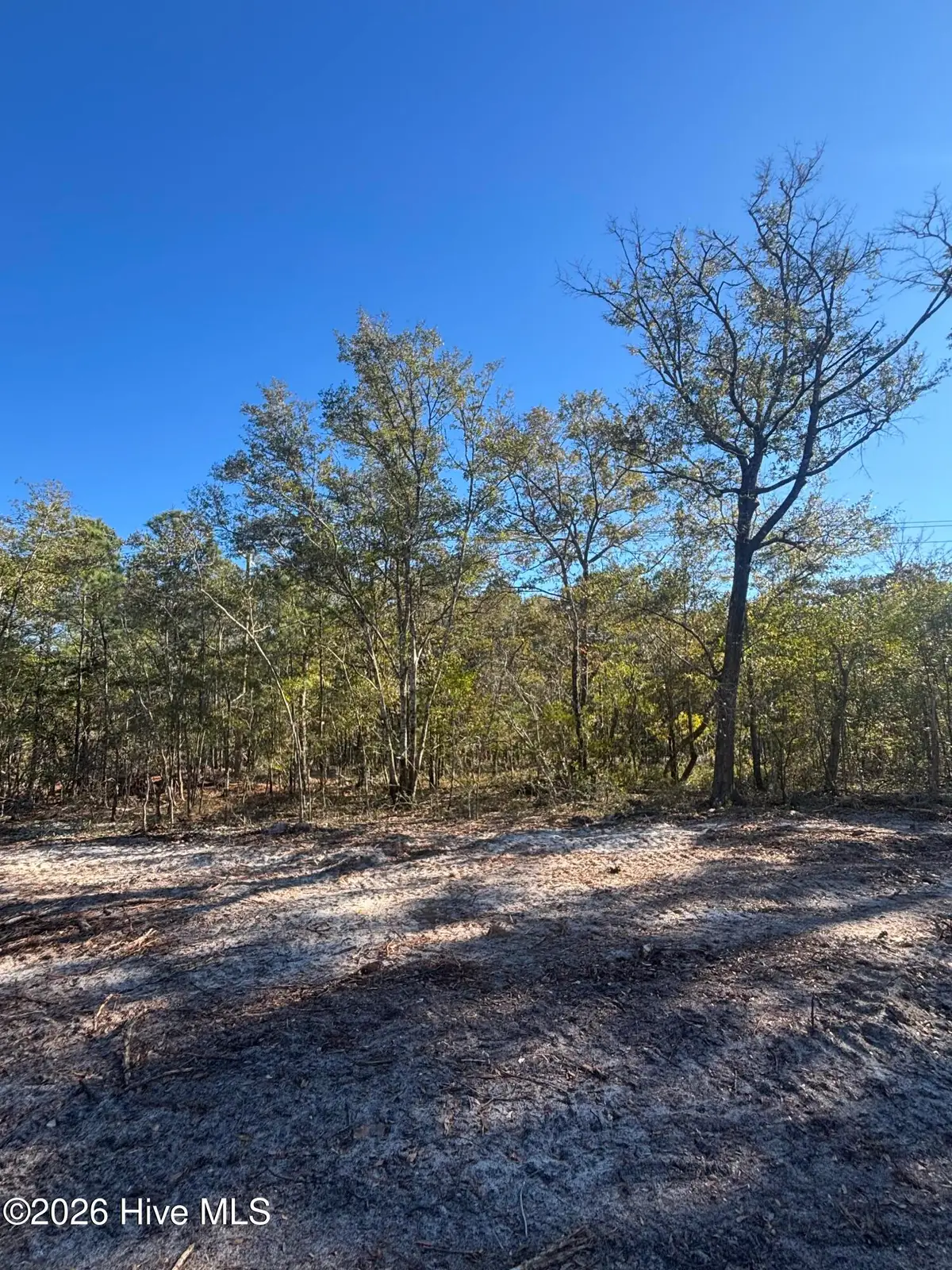 Lot 121 Coral Gull Street, Southport, NC 28461 - #1