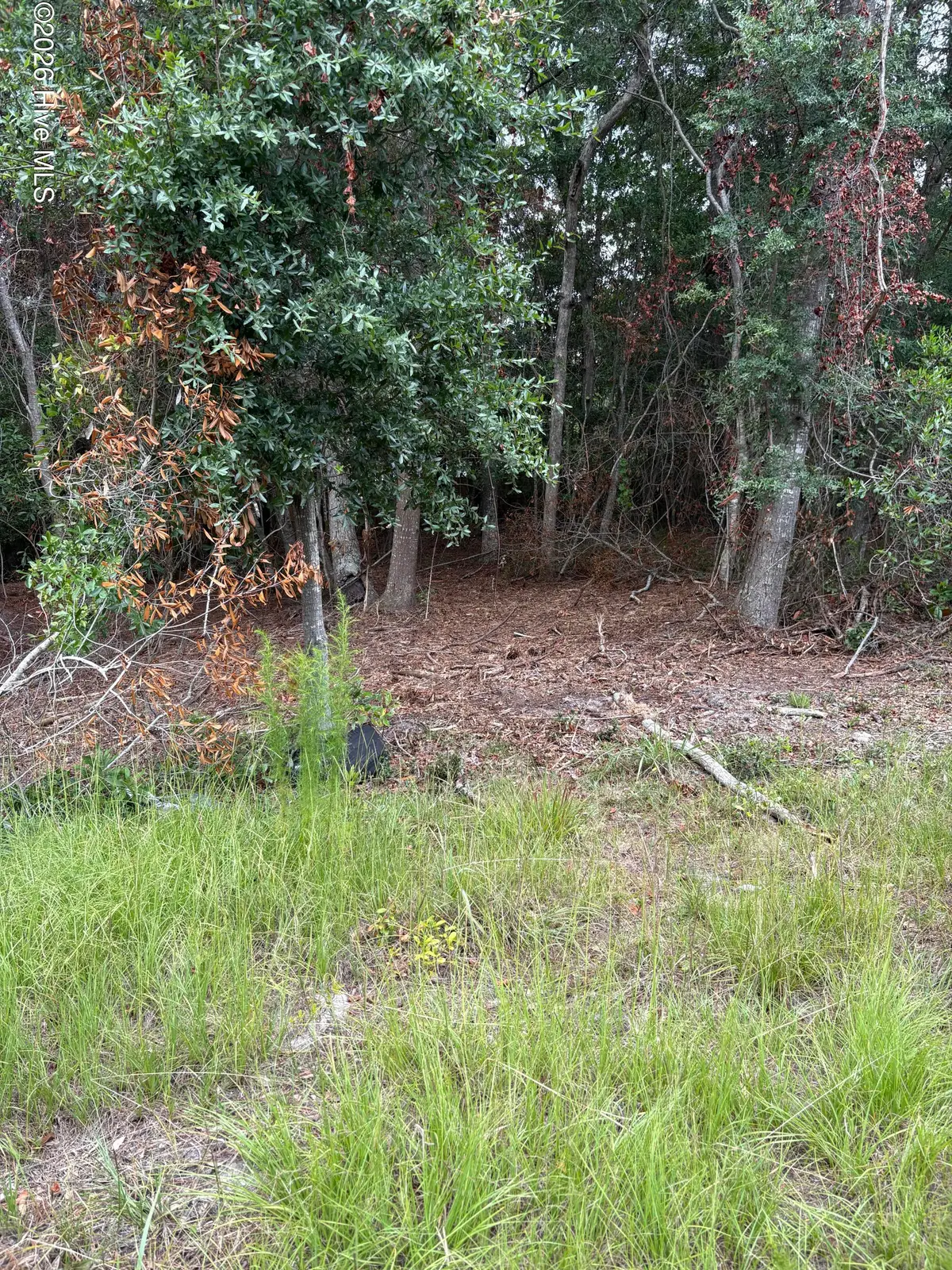 2973 James Street Sw, Supply, NC 28462 - #1