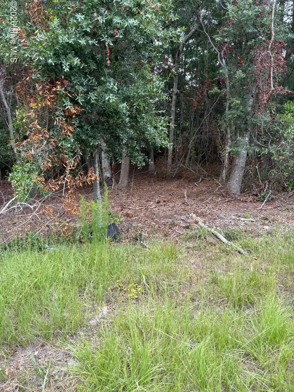 2973 James Street Sw, Supply, NC 28462