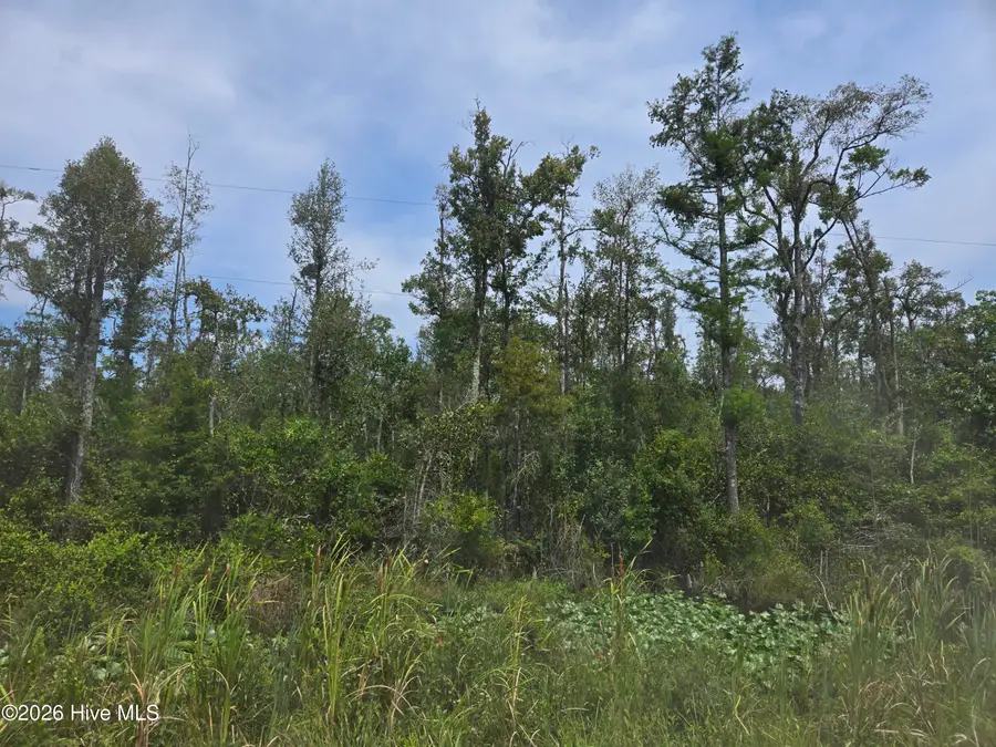 0 Elementary School Road, Columbia, NC 27925 - #2