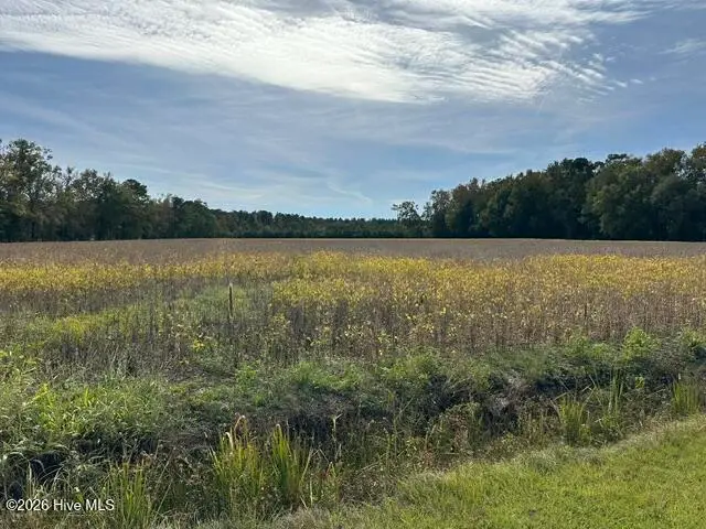 721 Joe Piver Road, Chadbourn, NC 28431 - #1