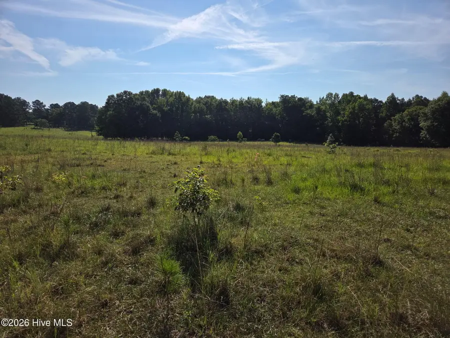0 Rocky Branch Church Road, Norwood, GA 30821 - #2