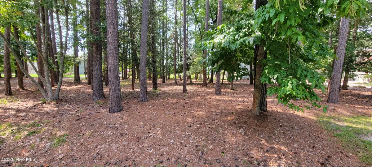 Lot 108 Live Oak Lane, Washington, NC 27889 - #1