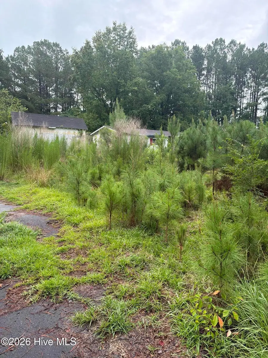 120 Deer Tract Drive, Washington, NC 27889 - #2