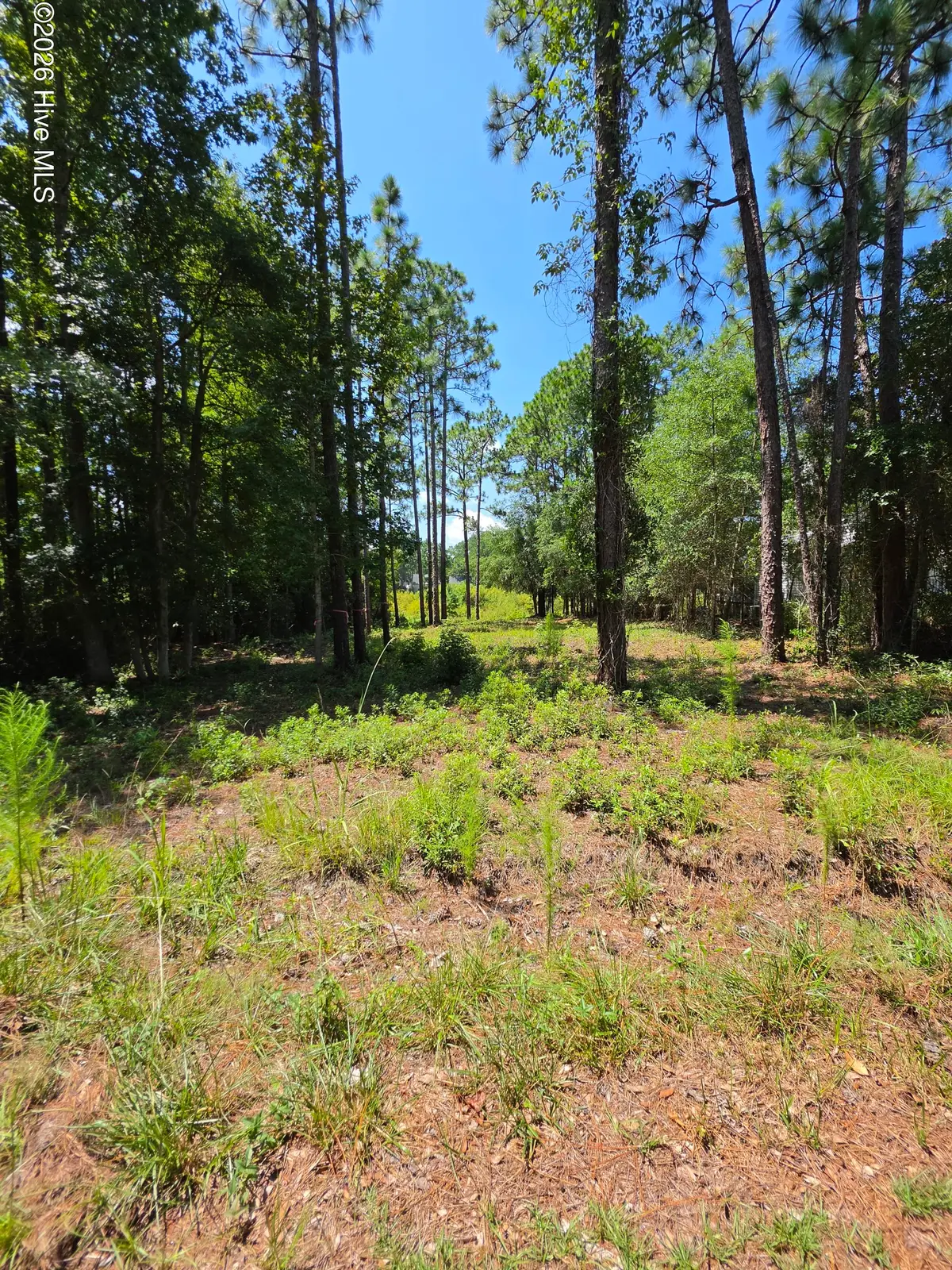 44 Pine Shores Drive, Southport, NC 28461 - #1
