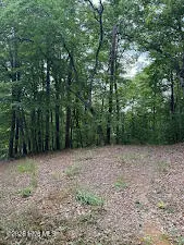 Lot #46 Pine Cove Lane, Murphy, NC 28906