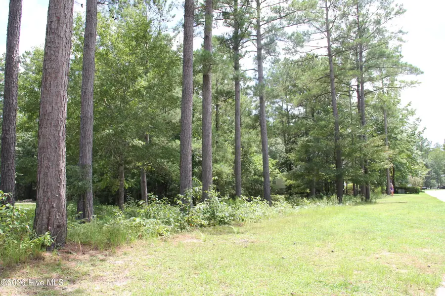 653 Ashbury Drive Se, Bolivia, NC 28422 - #2