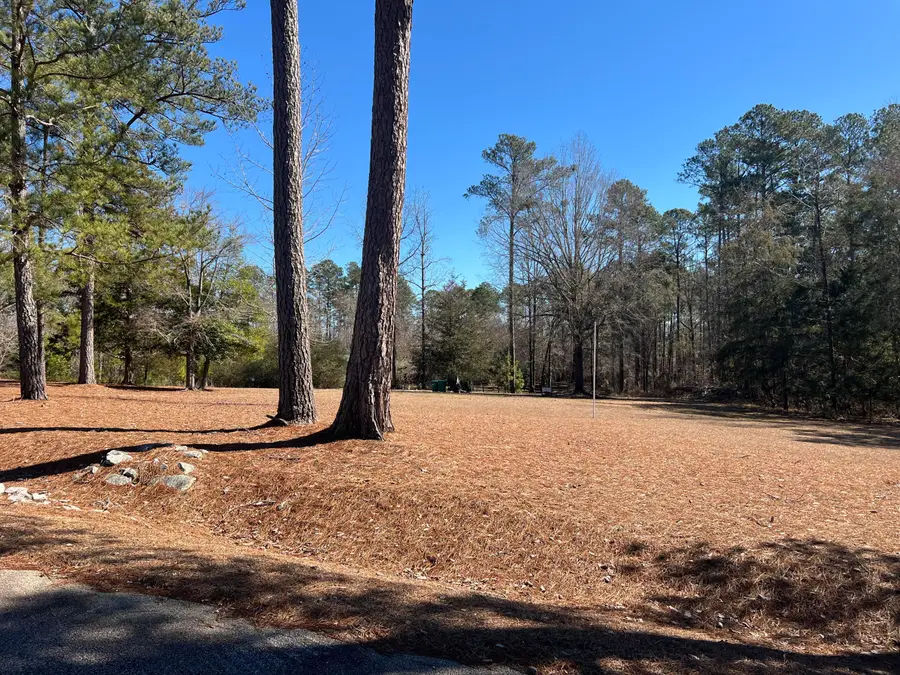 2369 Pine Ridge Drive, Appling, GA 30802 - #2