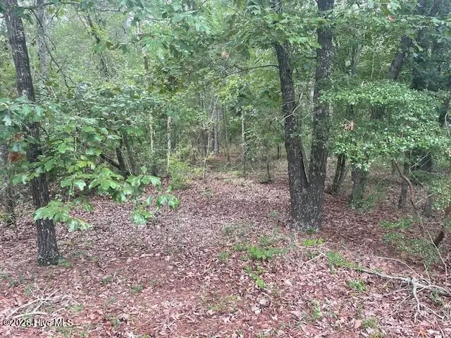 300 Gardenia Lane, White Oak, NC 28399 - #3