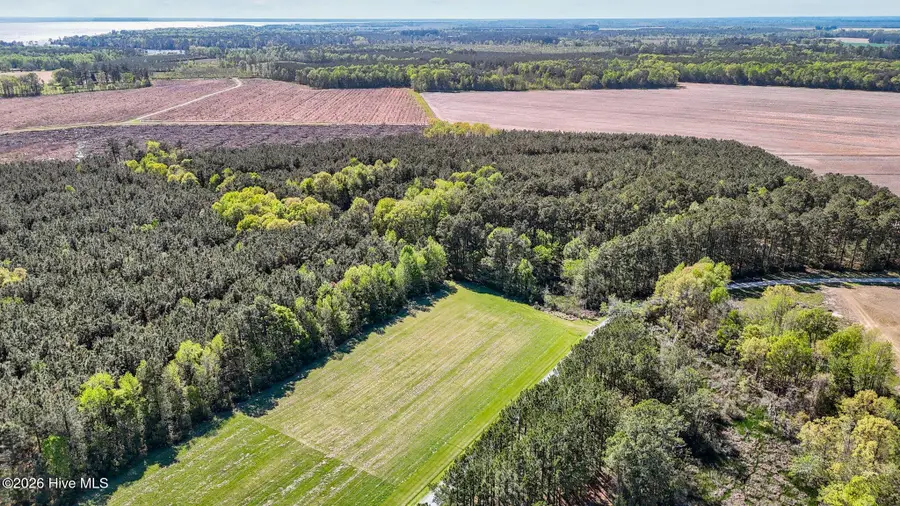 646 N Creek Drive, Belhaven, NC 27810 - #3