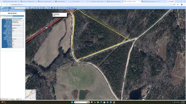 Tbd Eugene Woodward Road, Mount Croghan, SC 29727