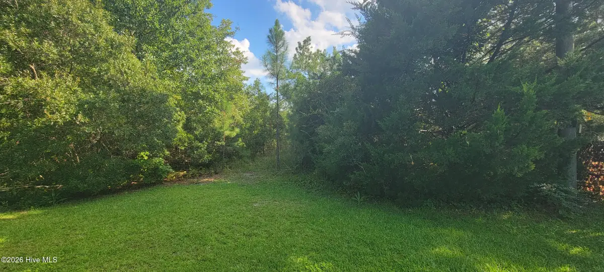 Lot 16 Doe Ct, Hampstead, NC 28443 - #1