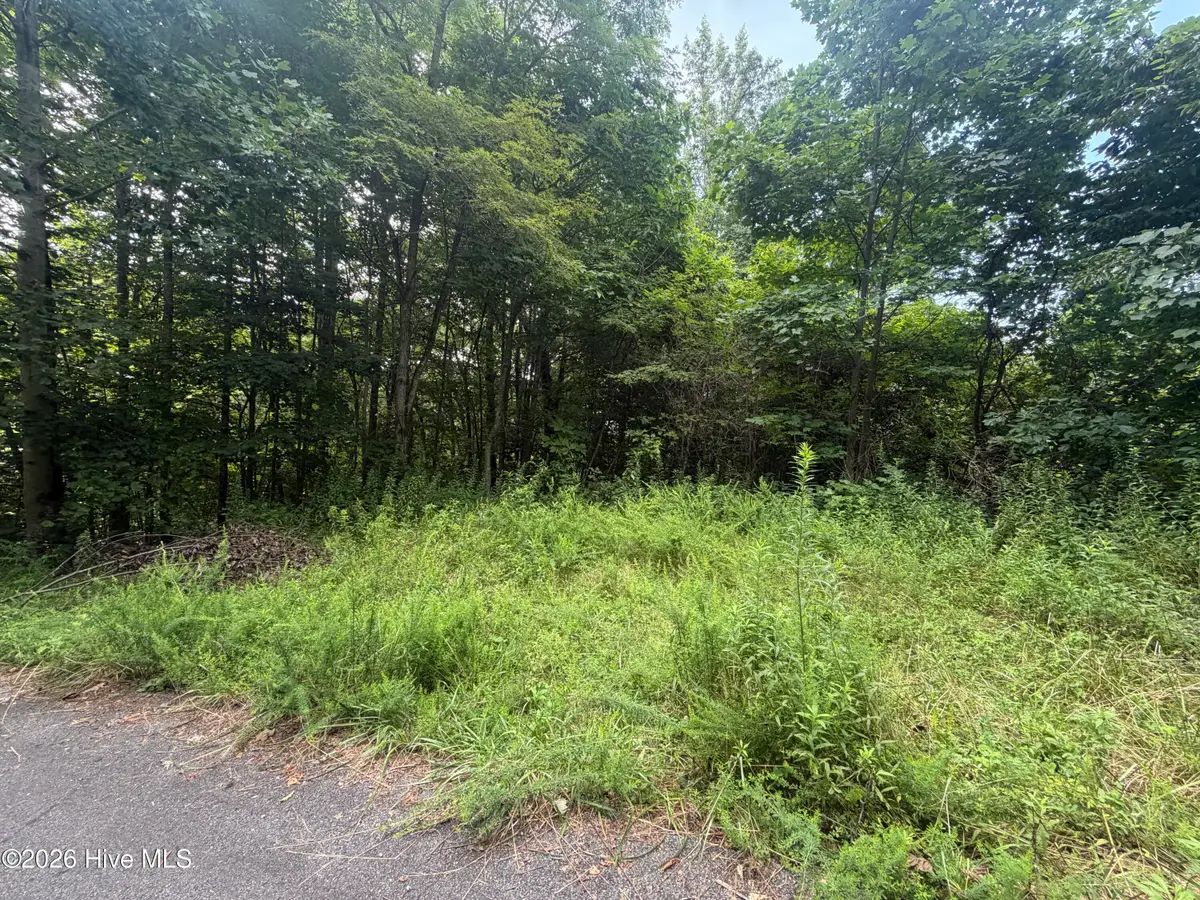 Lot# 30 Highlander Road, Topton, NC 28781 - #1