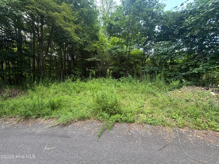 Lot# 30 Highlander Road, Topton, NC 28781 - #3