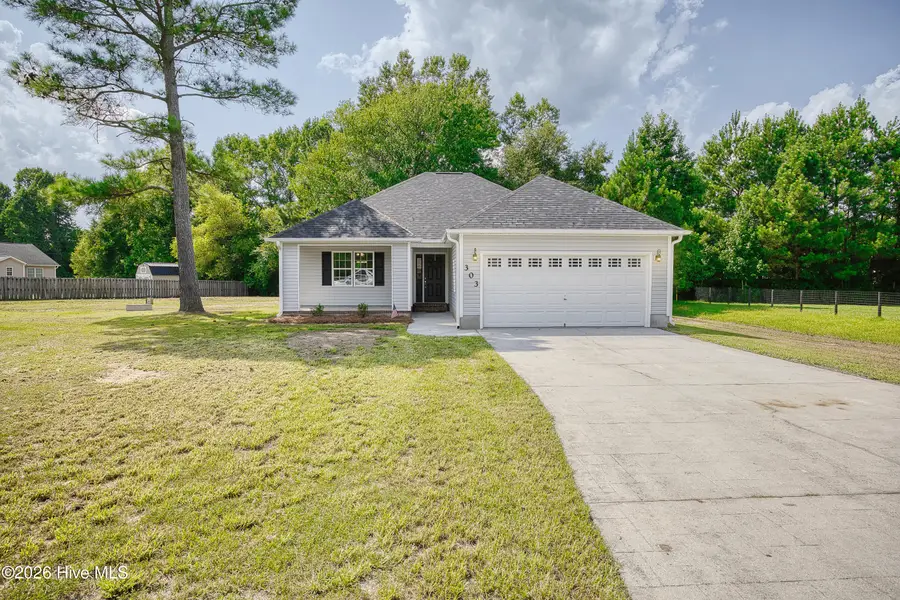 303 Big Tree Lane, Chinquapin, NC 28521 - #2