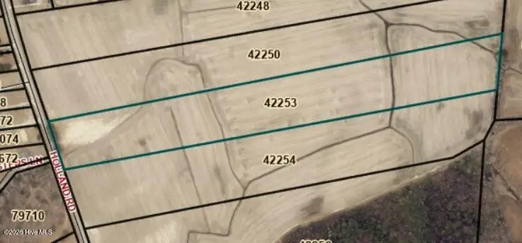 Lot 3 Holland Road, Greenville, NC 27834 - #1
