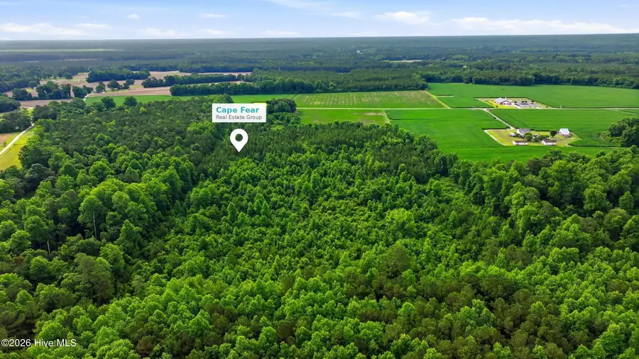 Lot 9 Point Caswell Road, Willard, NC 28478 - #3