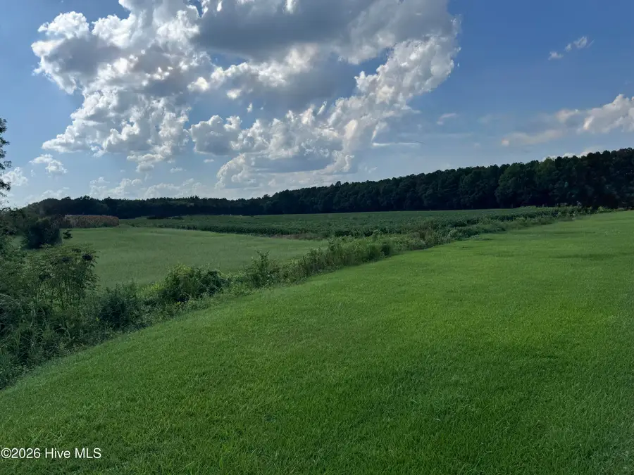 252 Haw Branch Road, Richlands, NC 28574 - #2