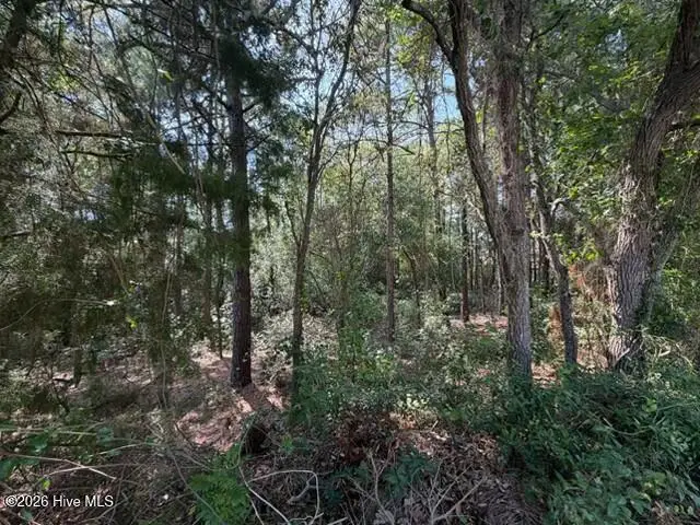 289 Okeechobee Road, Wilmington, NC 28412 - #1